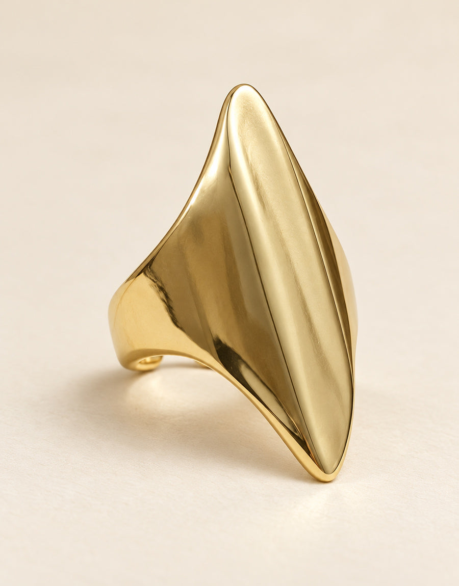 Orneza Gold-Tone Pointed Sculptural Panel Ring — front view