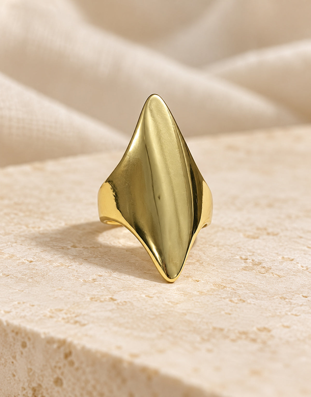 Orneza Gold-Tone Pointed Sculptural Panel Ring — styled view